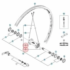 Ecrou De Rayon Shimano Y4CK89000 - (X1)